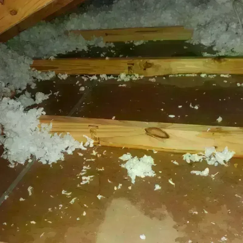 Attic Water Damage in Jonesborough, TN